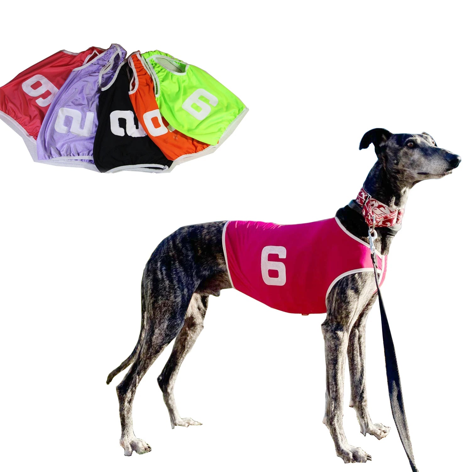 Summer Dog Vest Jackets Whippet Greyhound Suit