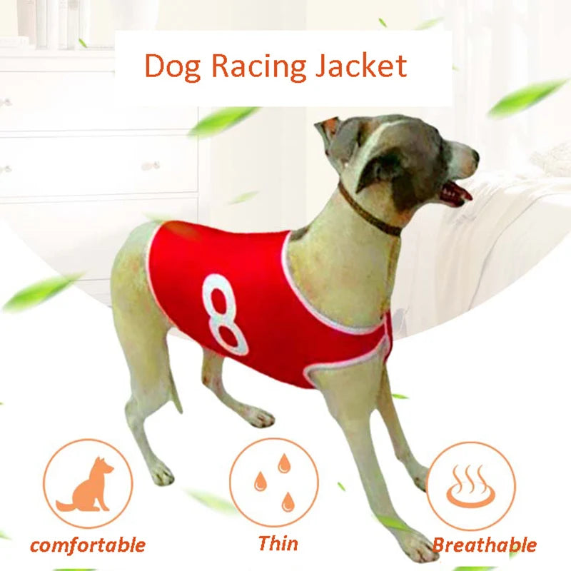 Summer Dog Vest Jackets Whippet Greyhound Suit