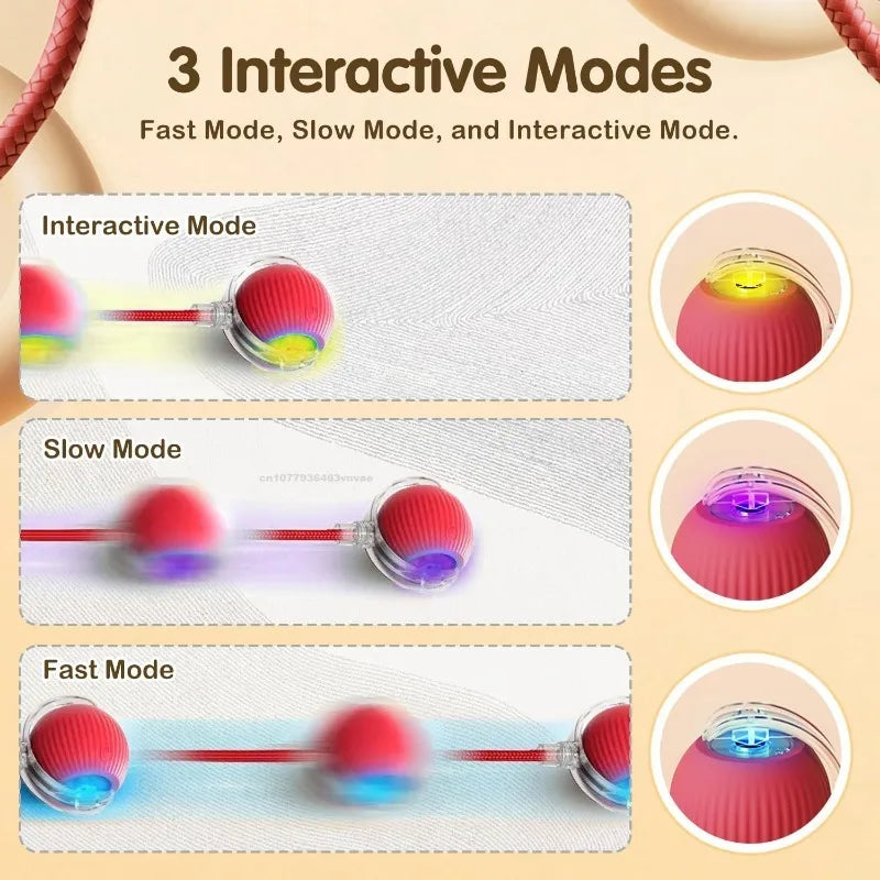 Cat Interactive Ball