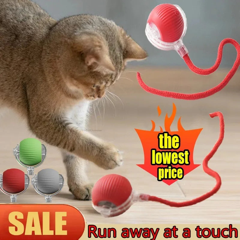 Cat Interactive Ball