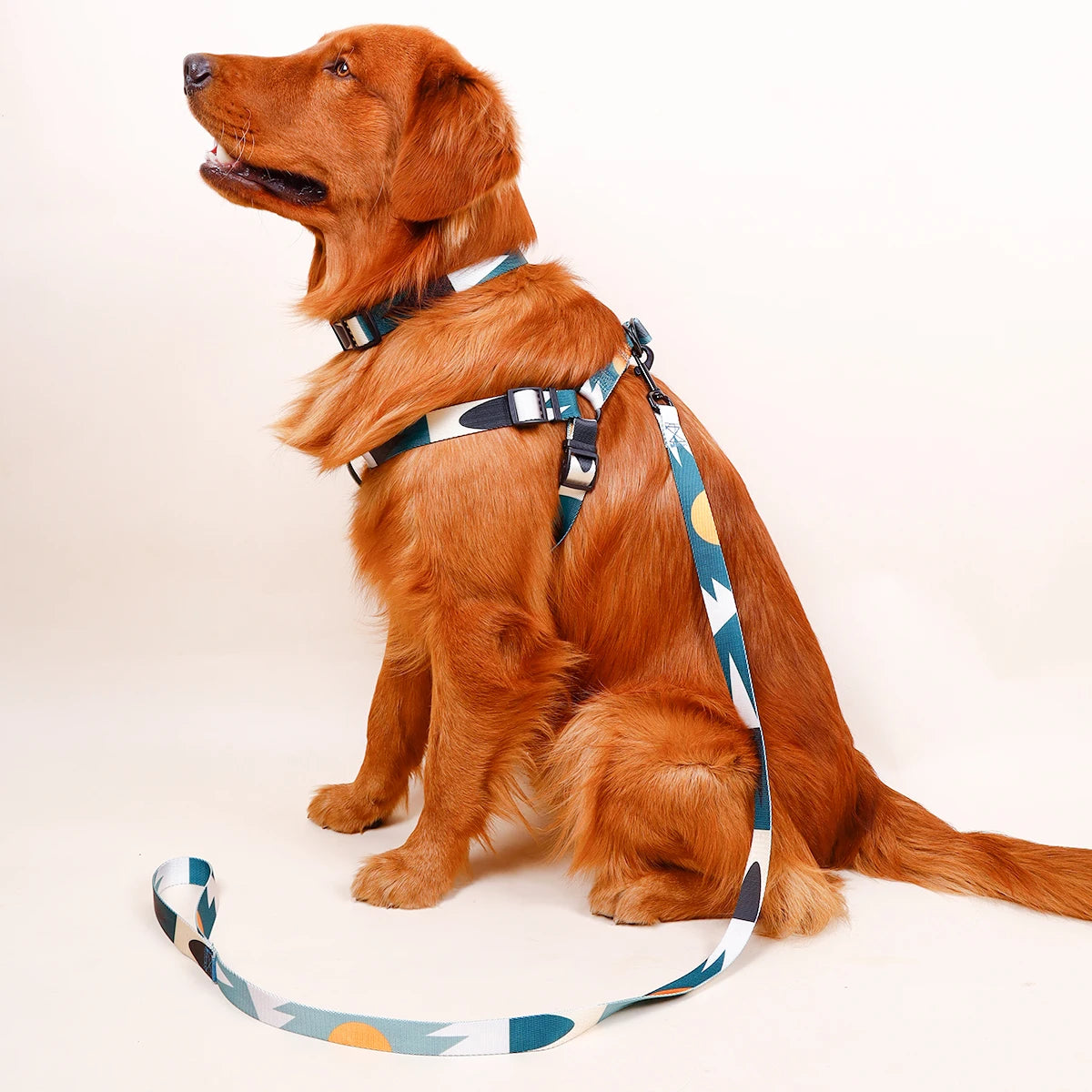 43505810505868|43505810538636|43505810571404|43505810604172