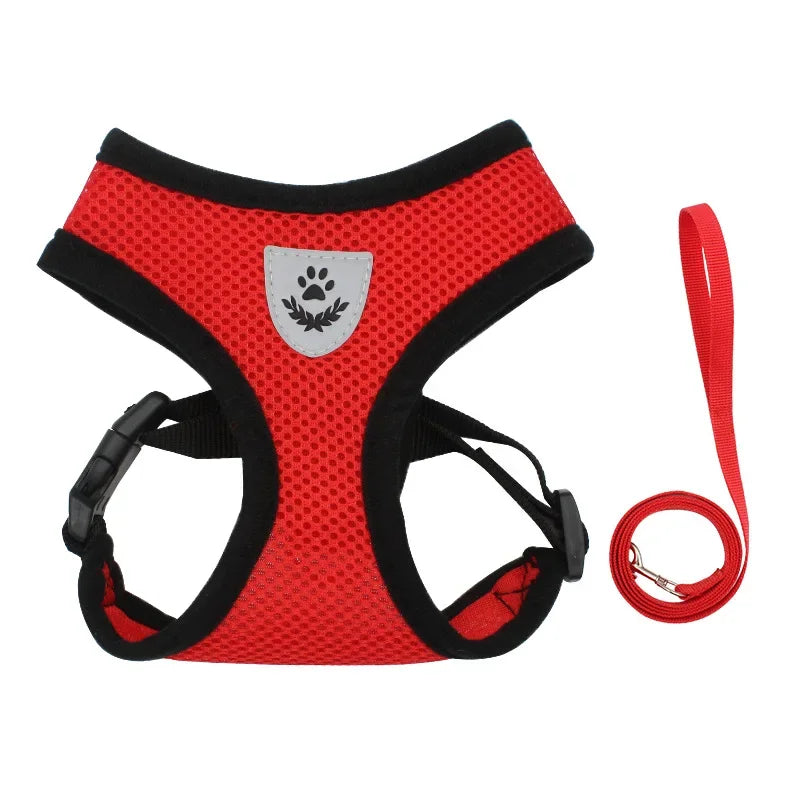 Summer Cat Dog Harness
