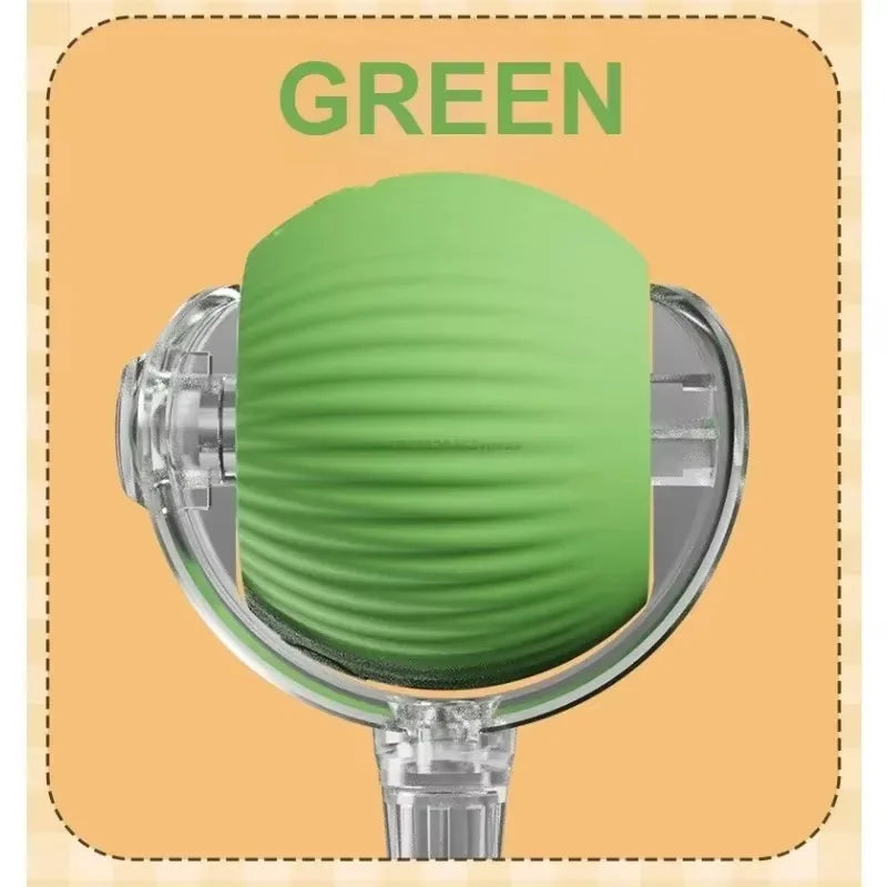 Cat Interactive Ball