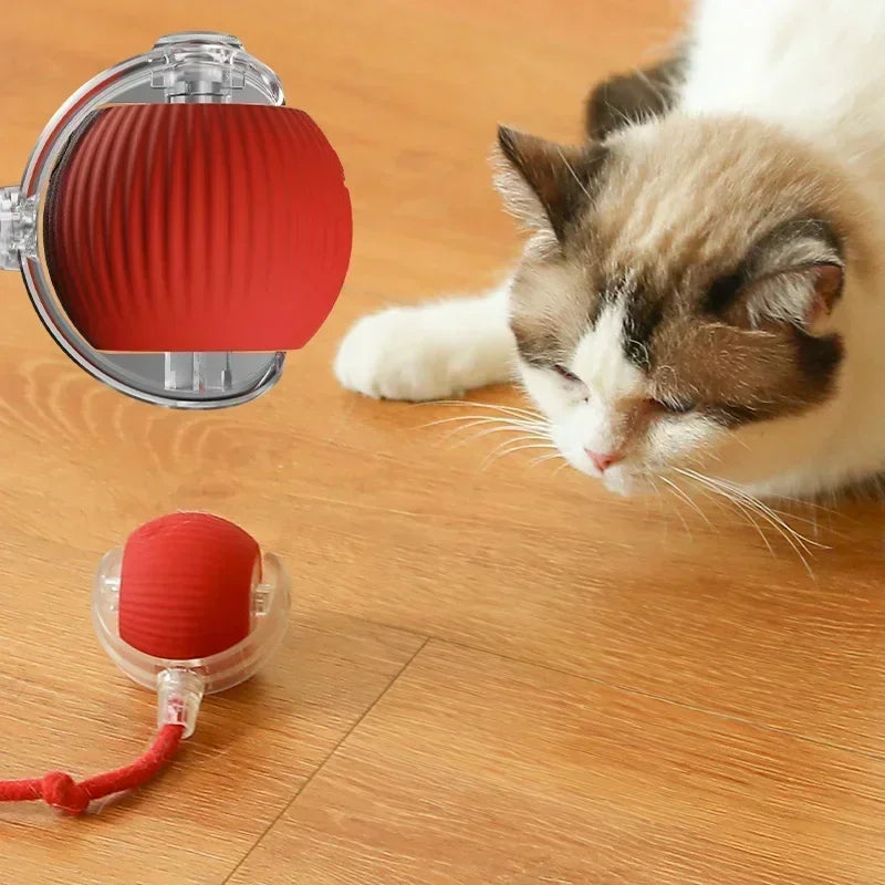 Automatic Rolling Ball Fake Tail Smart Cat Toys