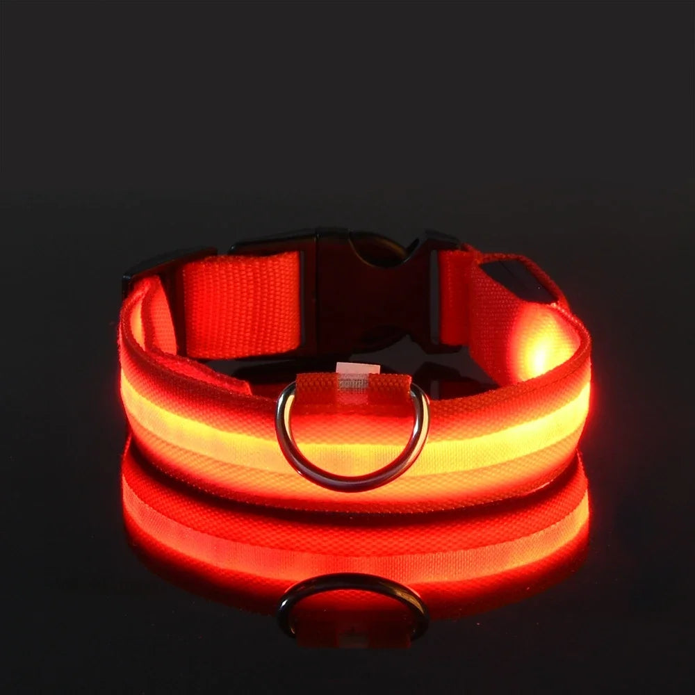 Dog Collar Nylon LED Night Safety Flashing