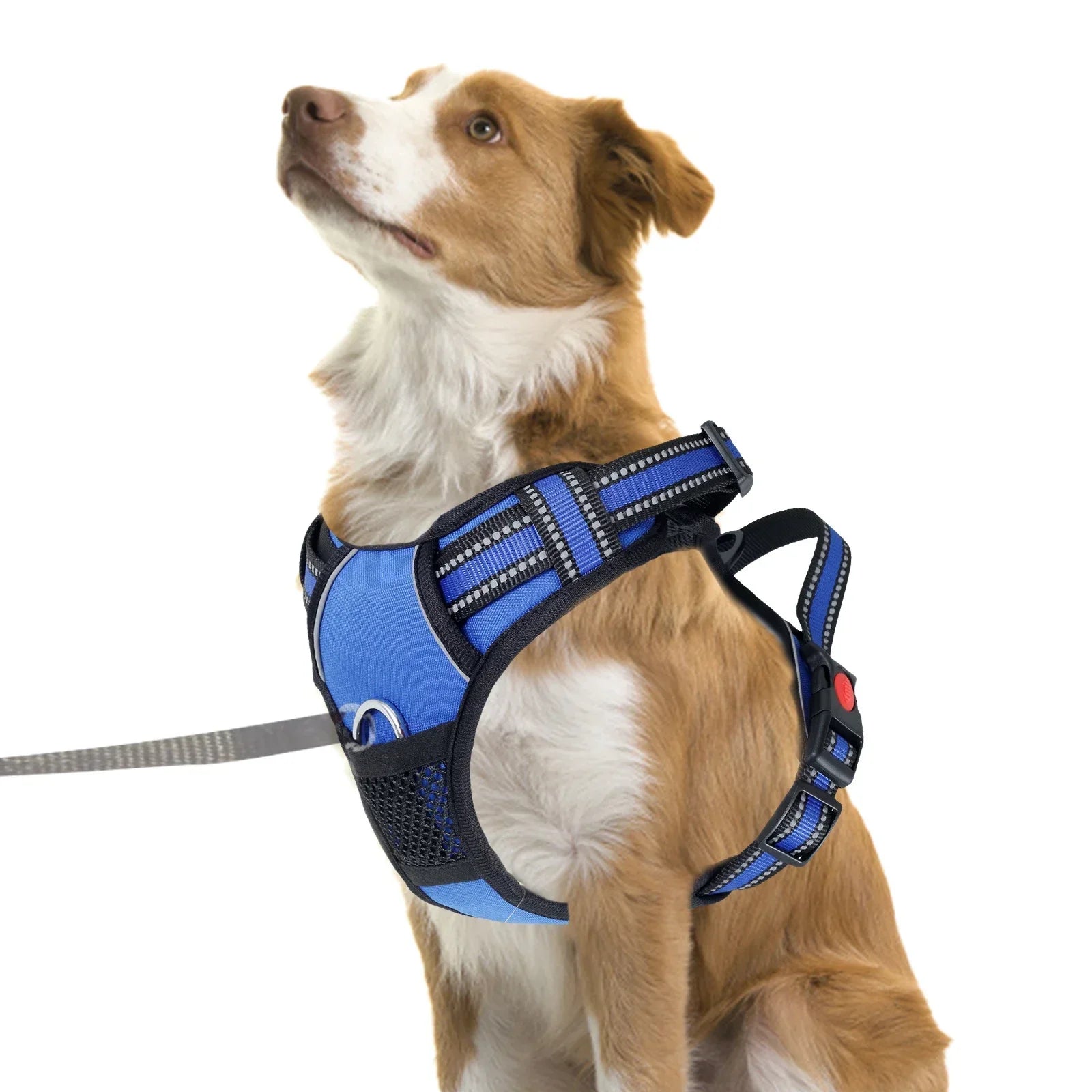 Breathable Mesh No Pull Pet Harness