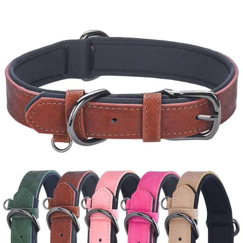 Adjustable Soft Padded leather Dog Collars