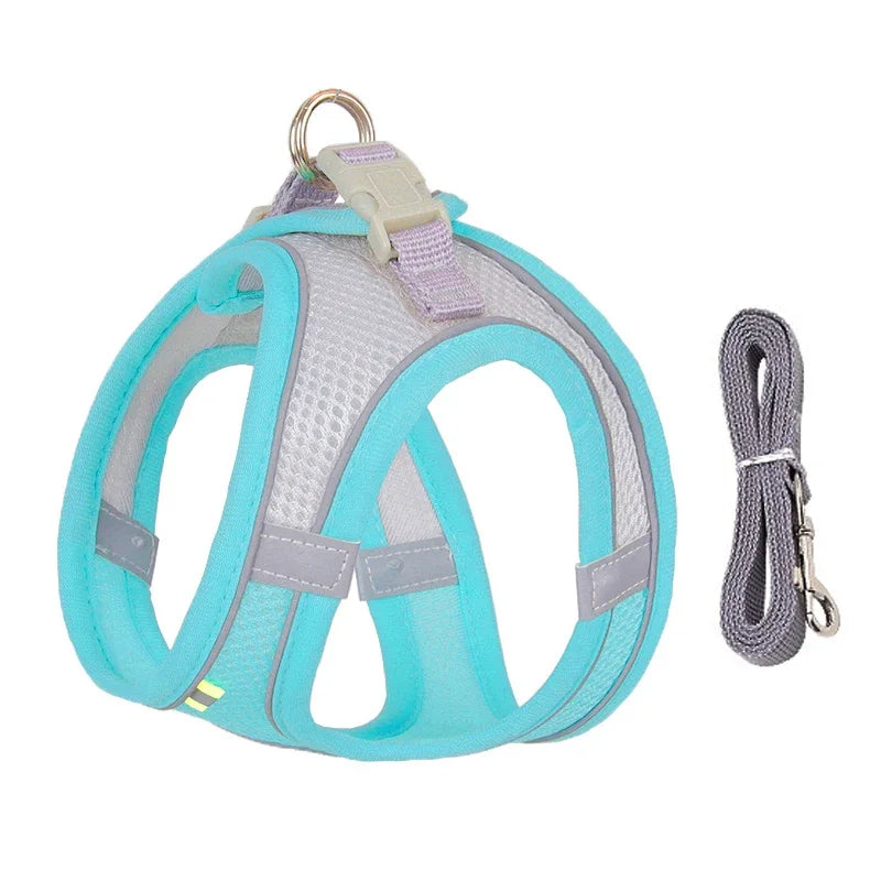 Summer Mesh Harness Vest and Leash Set