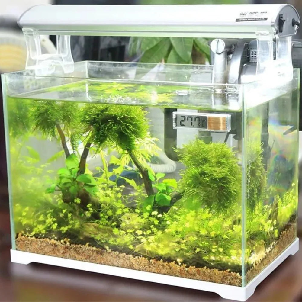Aquarium Thermometer Electronic LCD Digital Fish