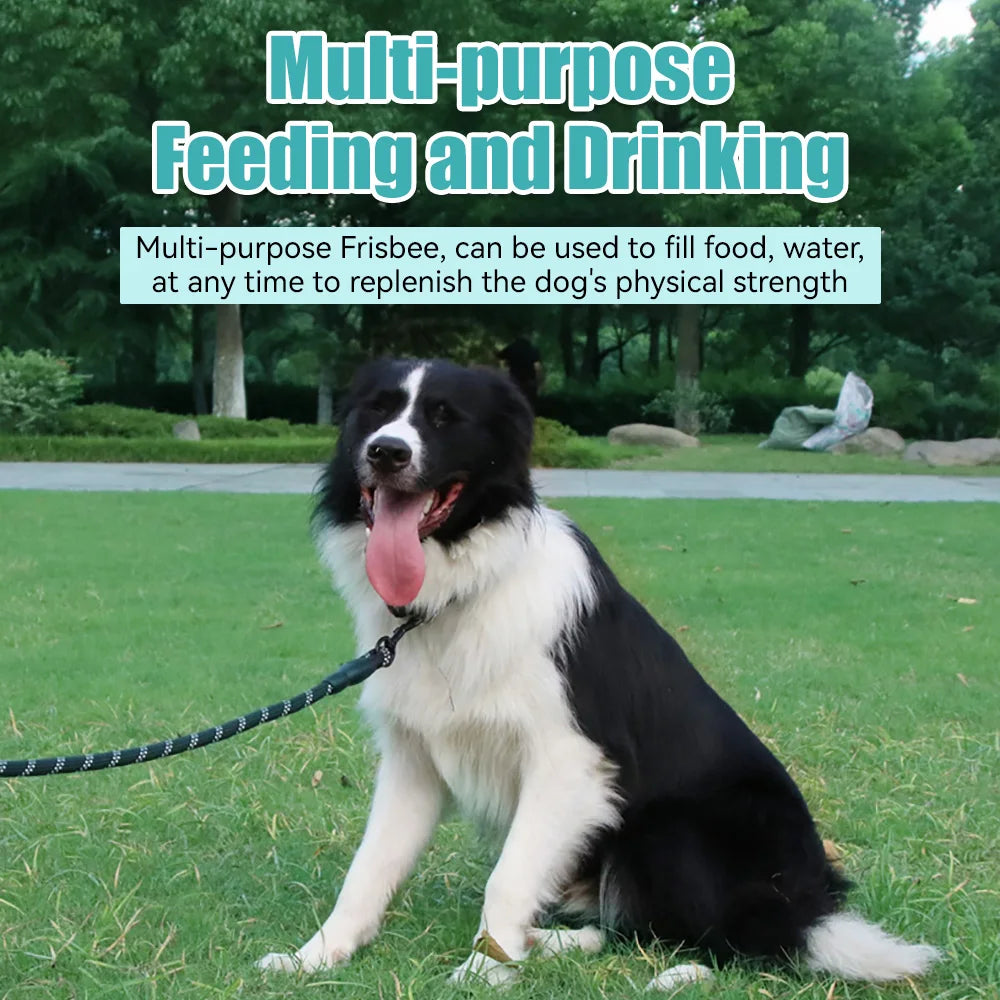 Pet Dog Flying Disk Toy