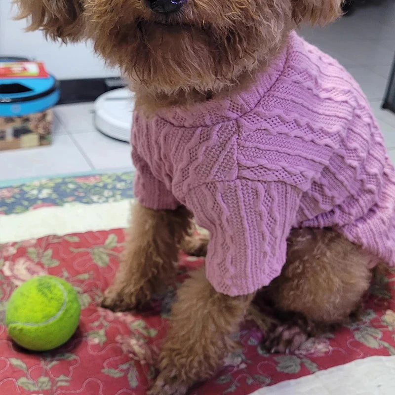 Designer Luxury Jersey Wool Dog Sweater