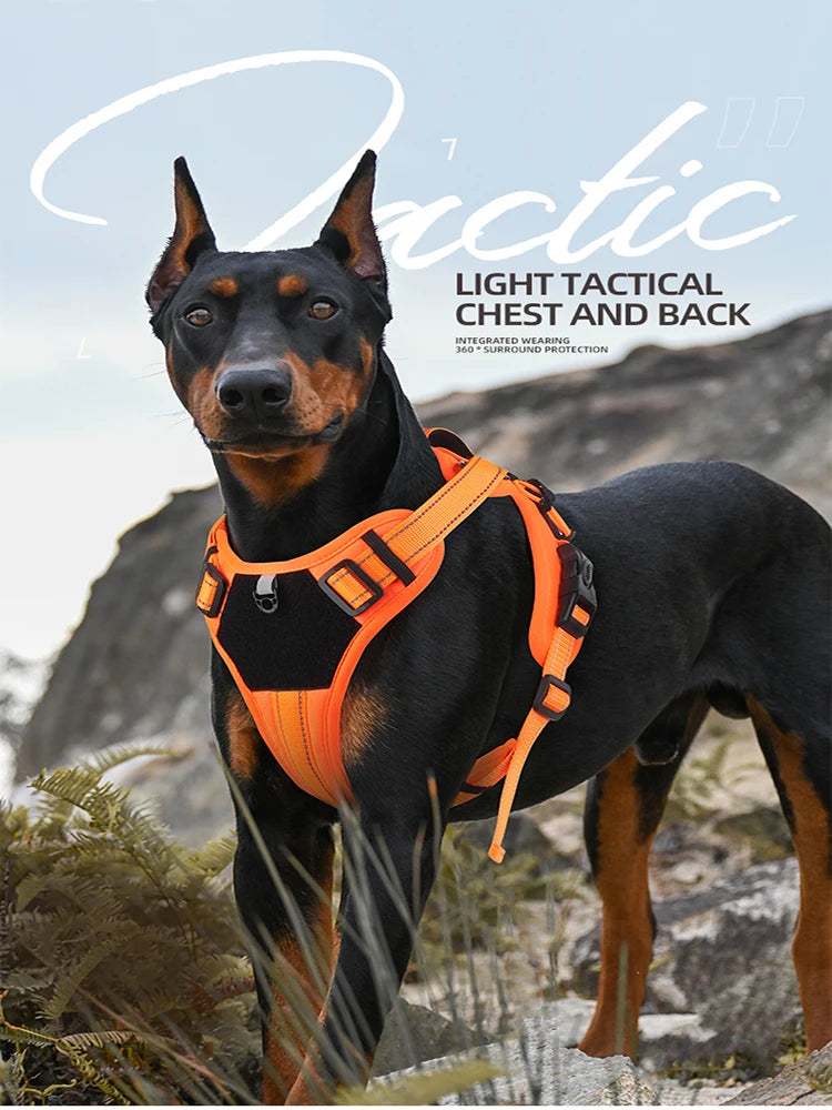 Reflective dog leash Explosion-proof Impact Tactics Chest Harness