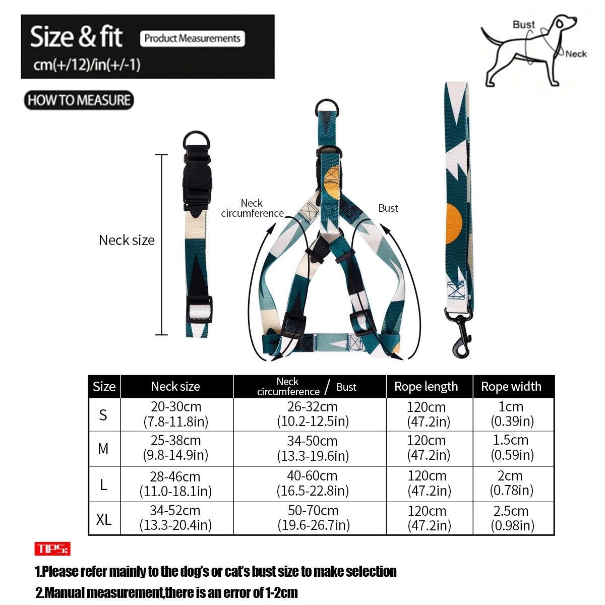 Abstract Chest And harness Set