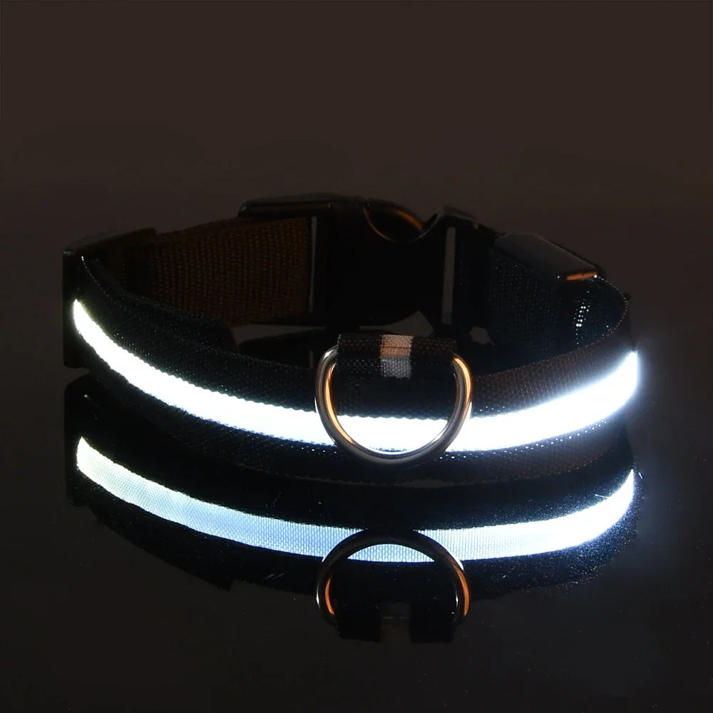 Dog Collar Nylon LED Night Safety Flashing