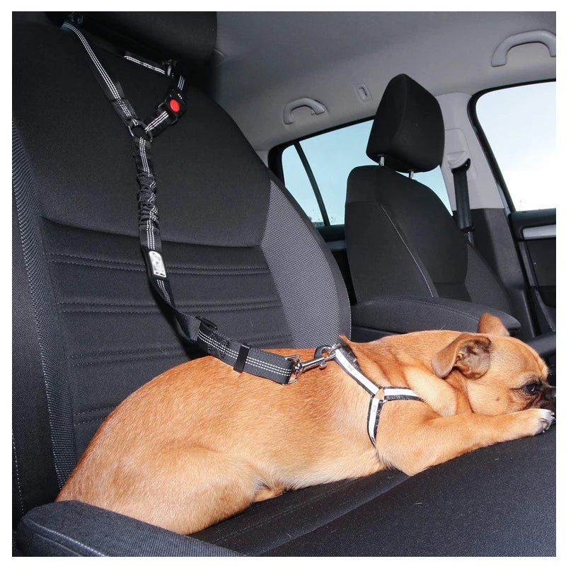 Solid Two-in-one Dog Harness Leash Car Seat Belt