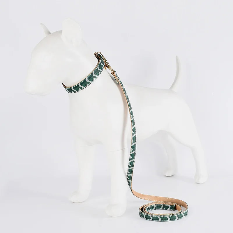 soft leather pet collar and leash set