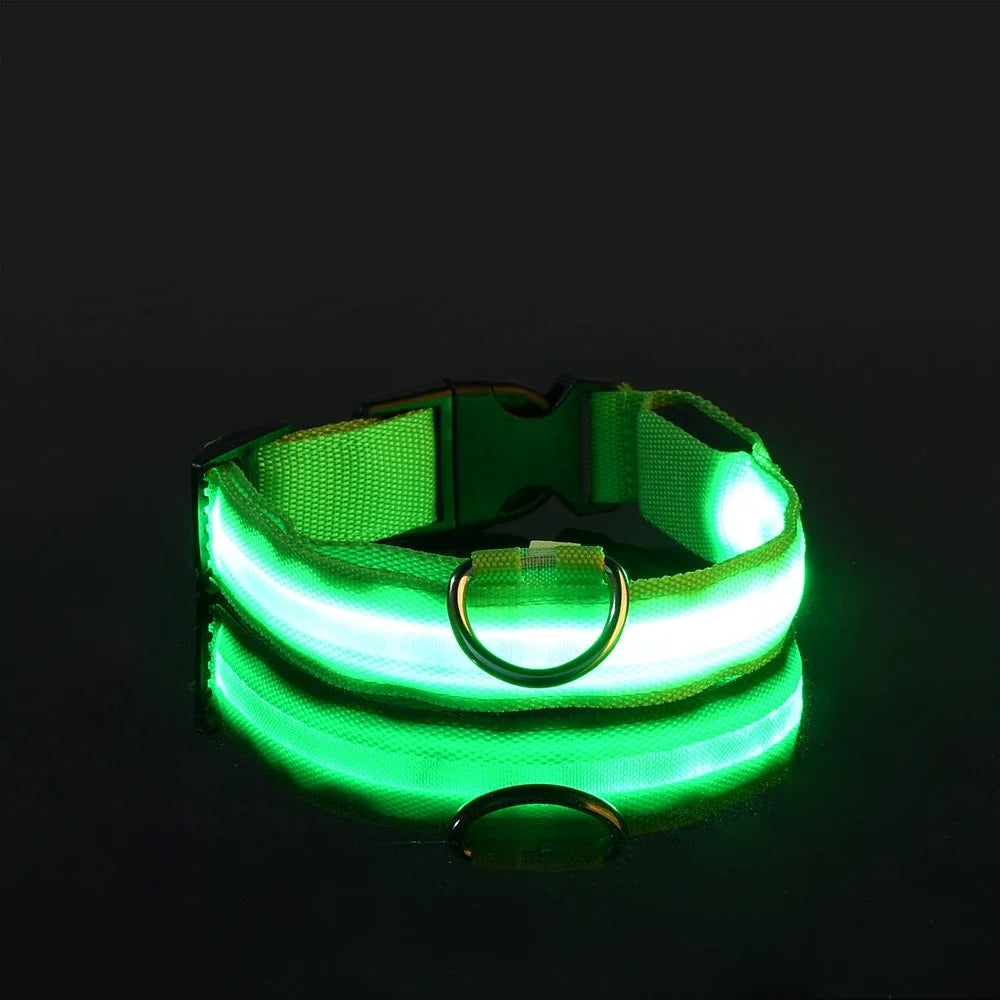 Dog Collar Nylon LED Night Safety Flashing