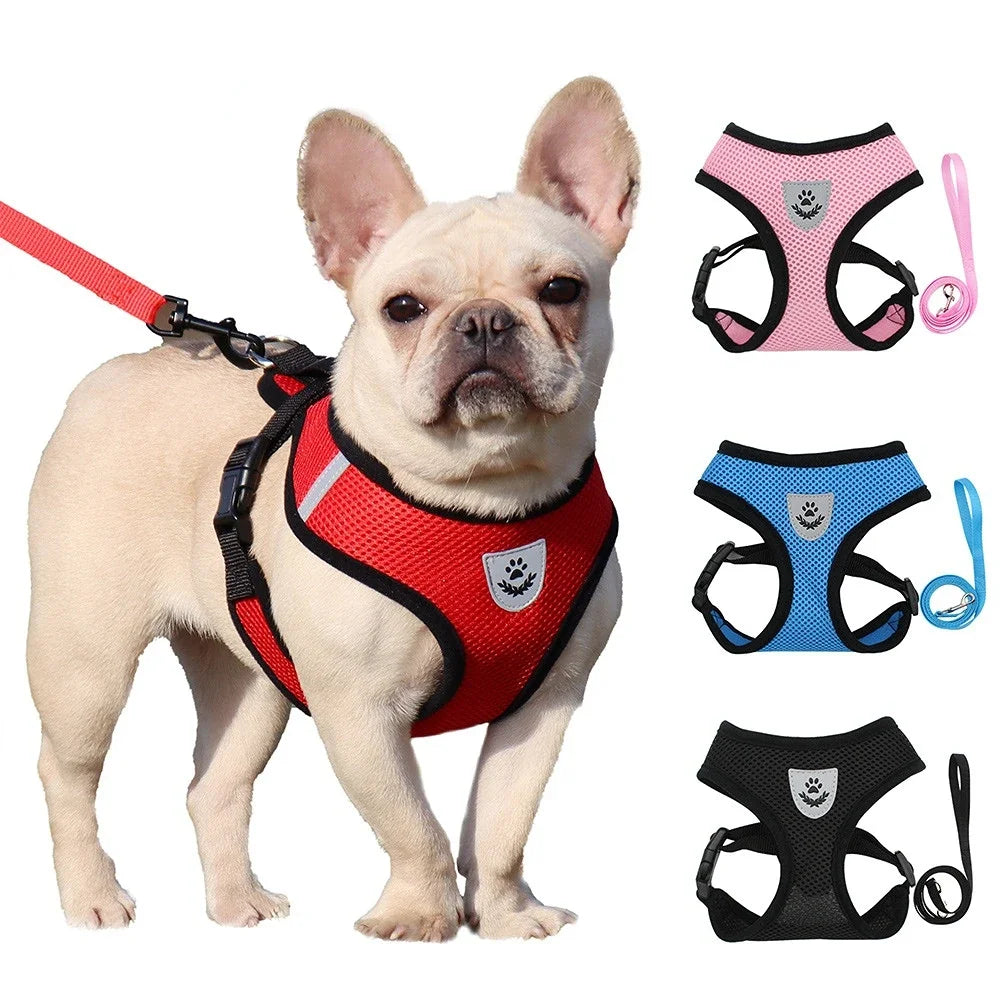Summer Cat Dog Harness