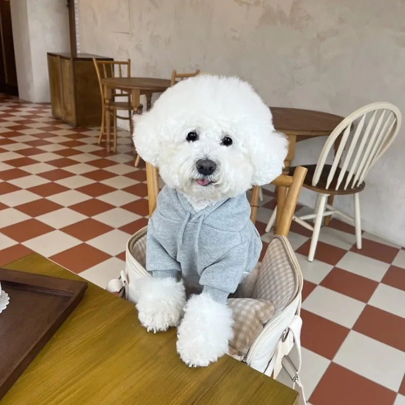 Letter Hoodie Pet Clothing