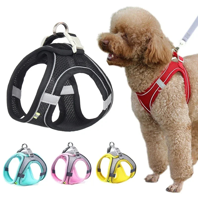 Summer Mesh Harness Vest and Leash Set