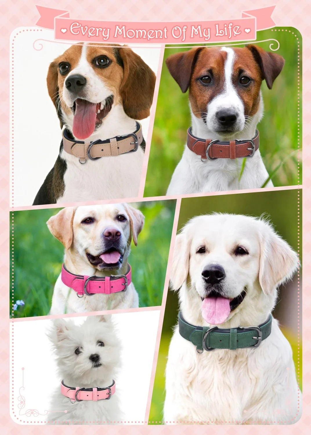 Adjustable Soft Padded leather Dog Collars