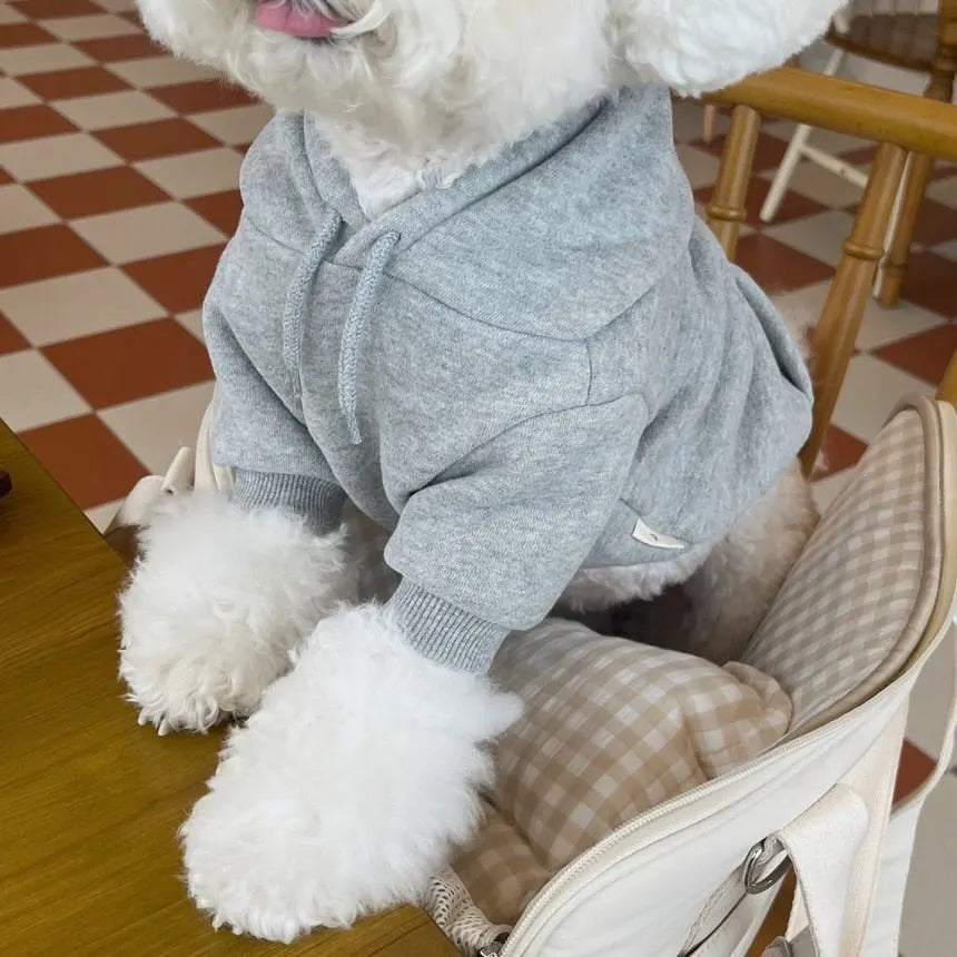 Letter Hoodie Pet Clothing