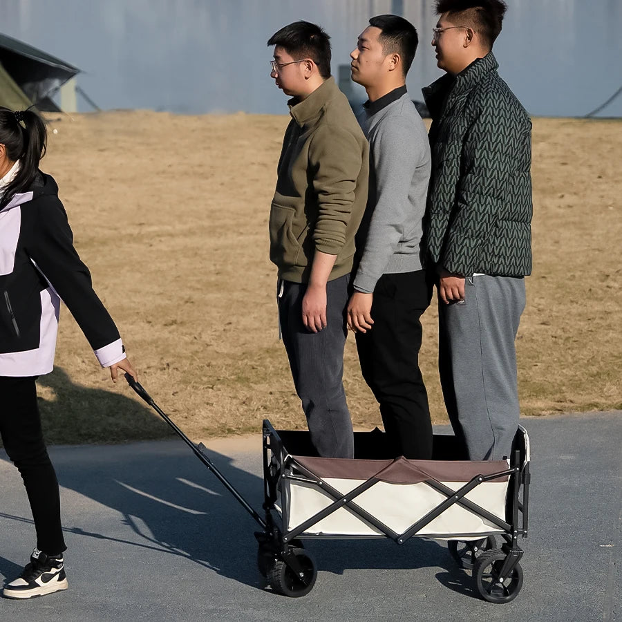 Collapsible Folding Utility Beach Cart