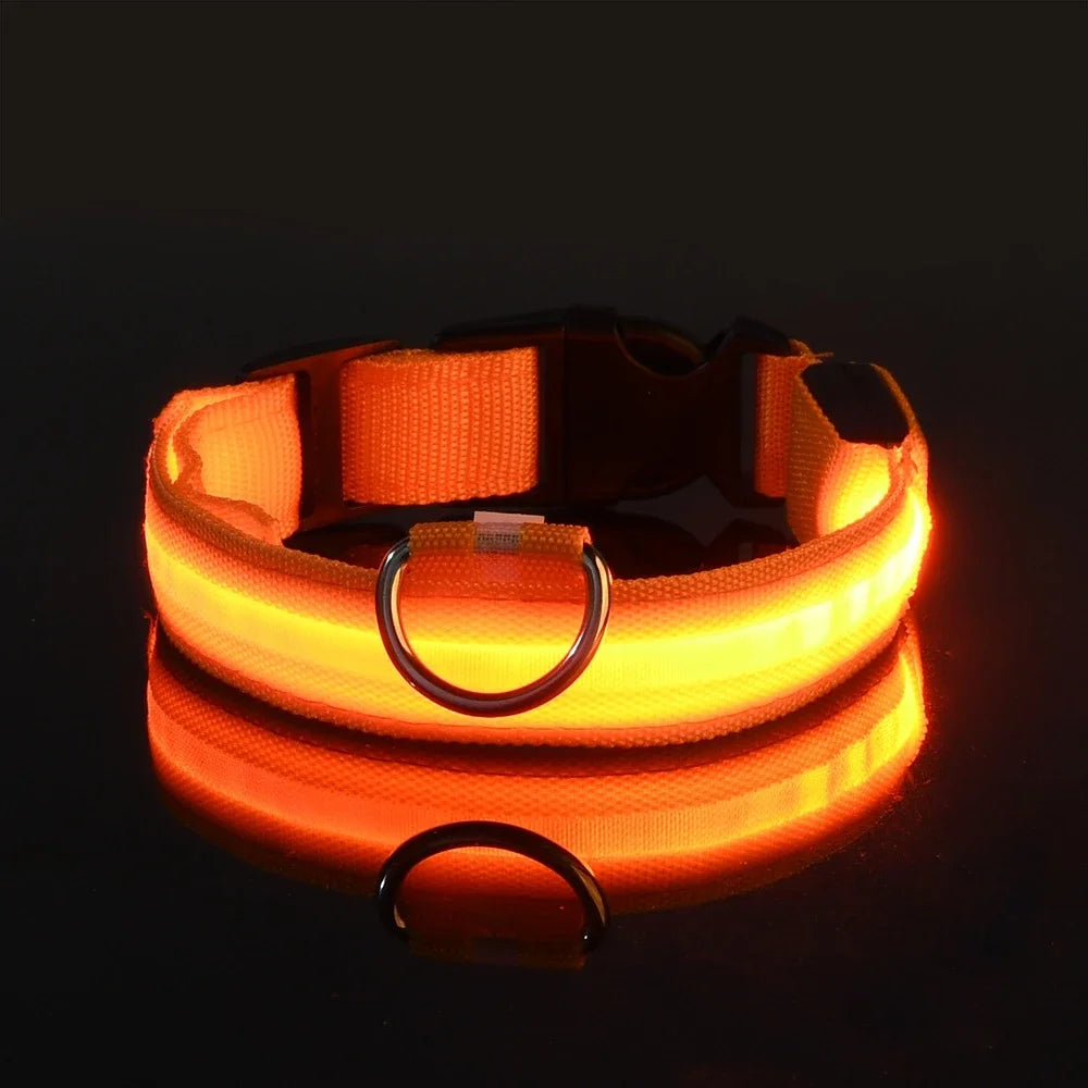 Dog Collar Nylon LED Night Safety Flashing