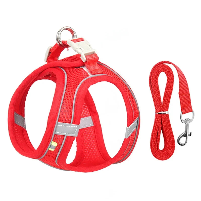 Summer Mesh Harness Vest and Leash Set