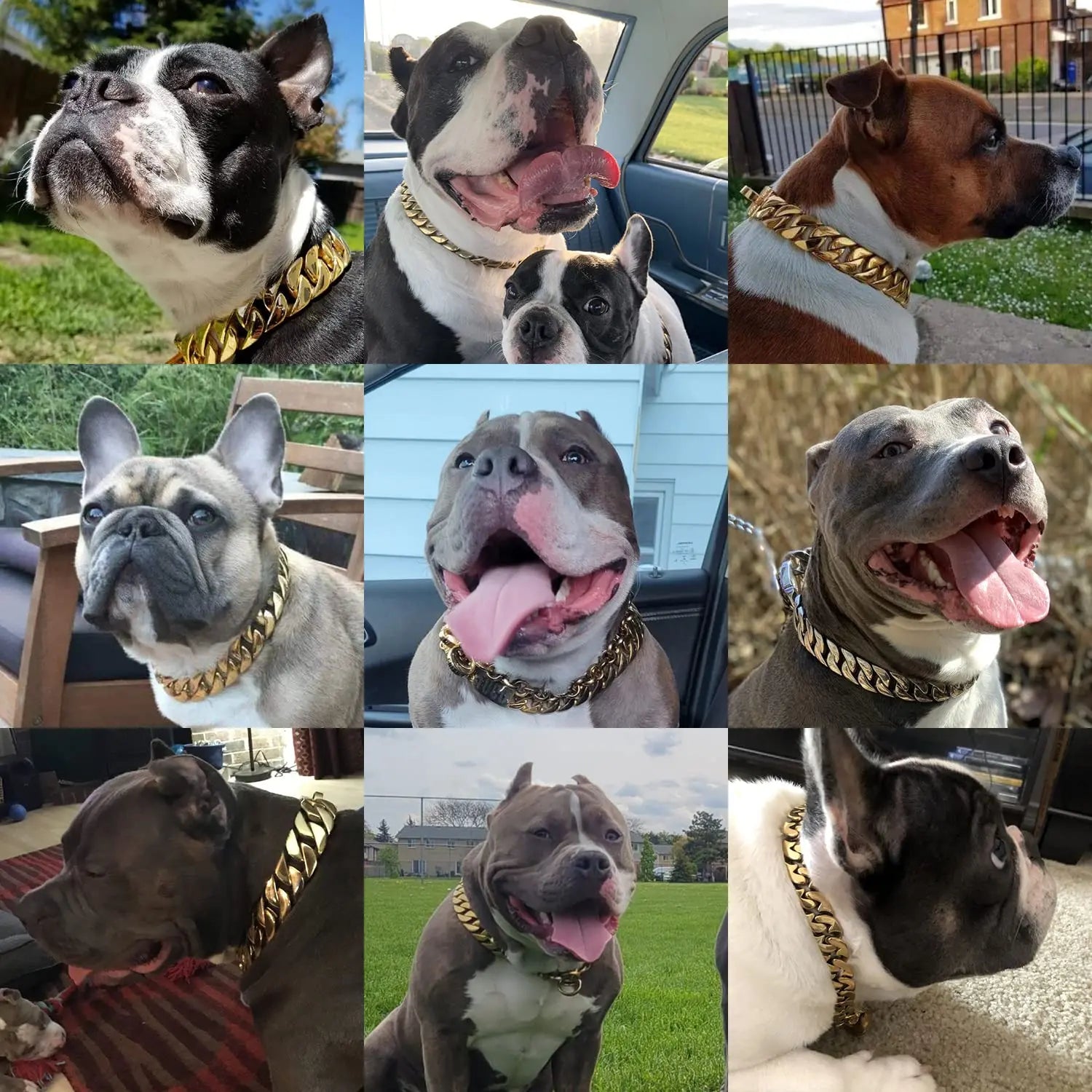 32mm Wide Gold  Dog Chain Collars