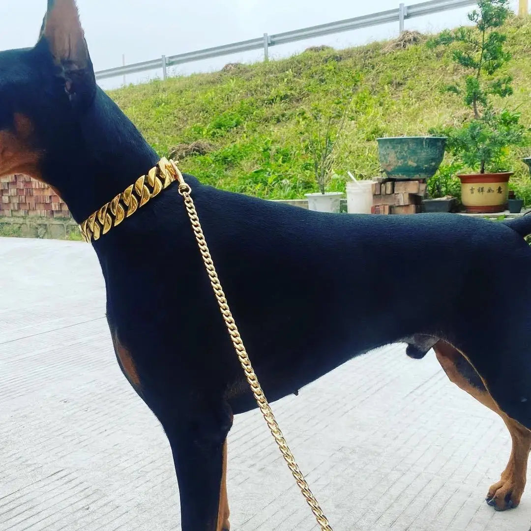 32mm Wide Gold  Dog Chain Collars
