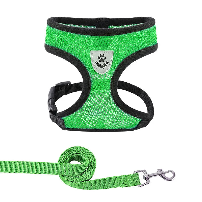 Summer Cat Dog Harness