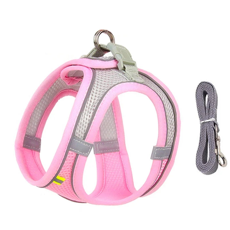 Summer Mesh Harness Vest and Leash Set