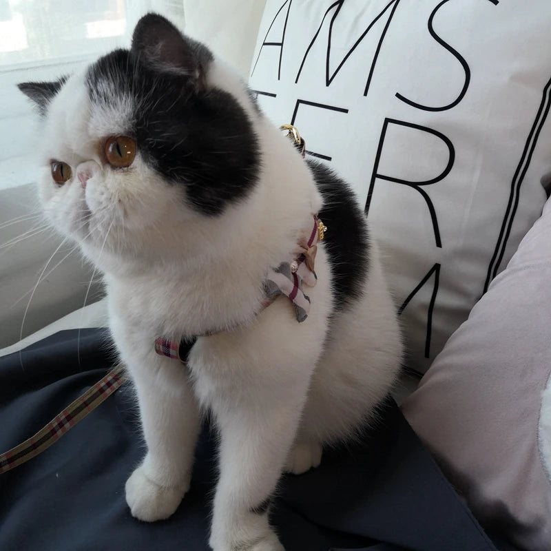 Pet Vest Lovely Collar Set