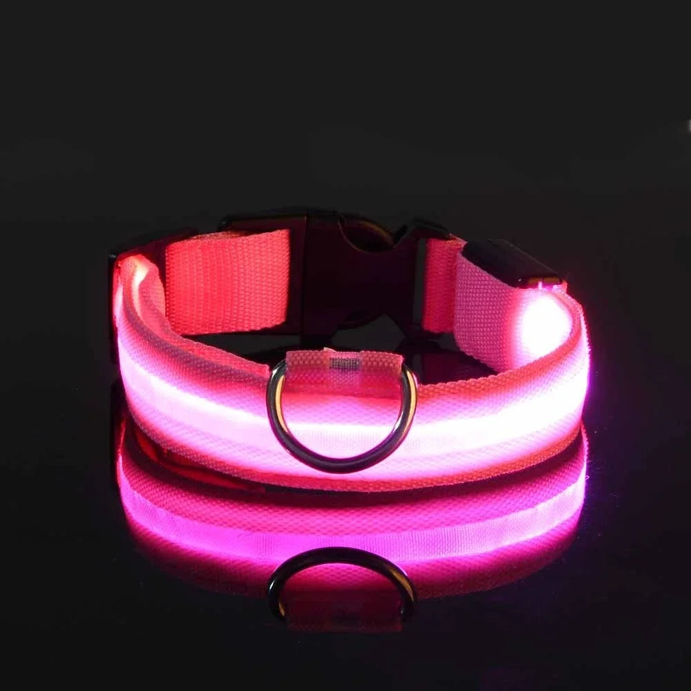 Dog Collar Nylon LED Night Safety Flashing