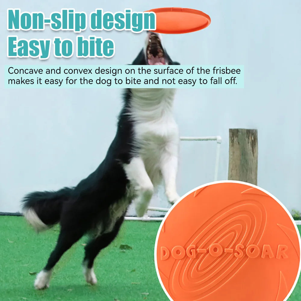 Pet Dog Flying Disk Toy