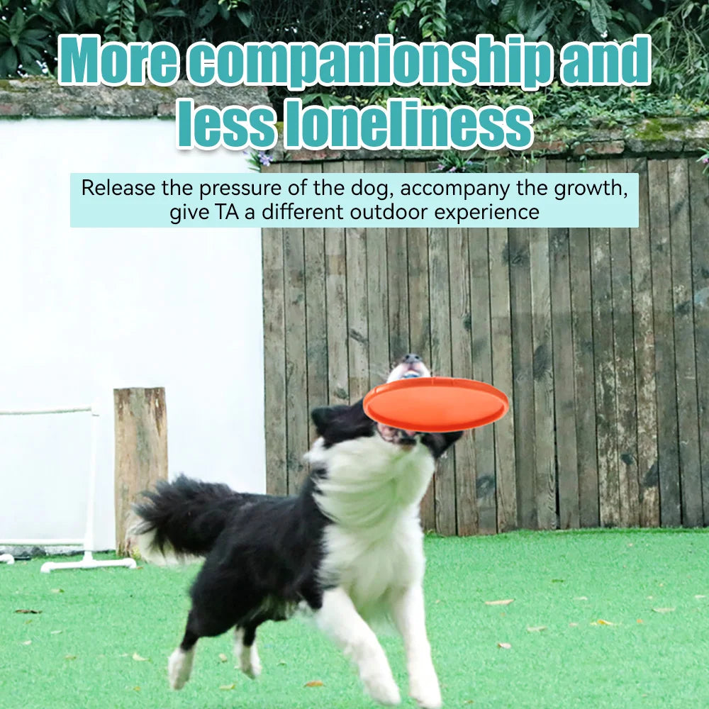 Pet Dog Flying Disk Toy