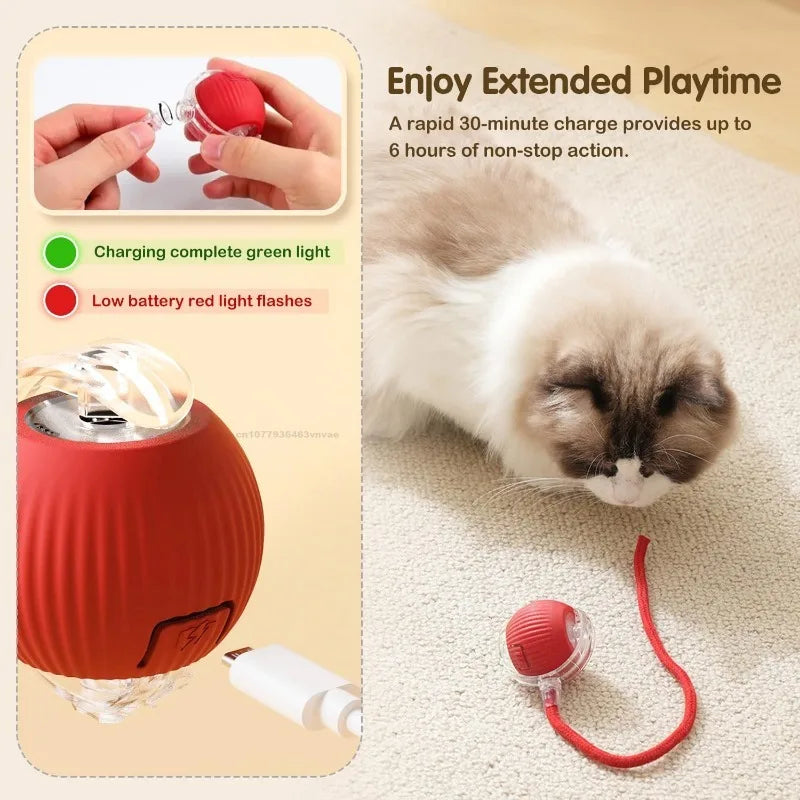 Cat Interactive Ball