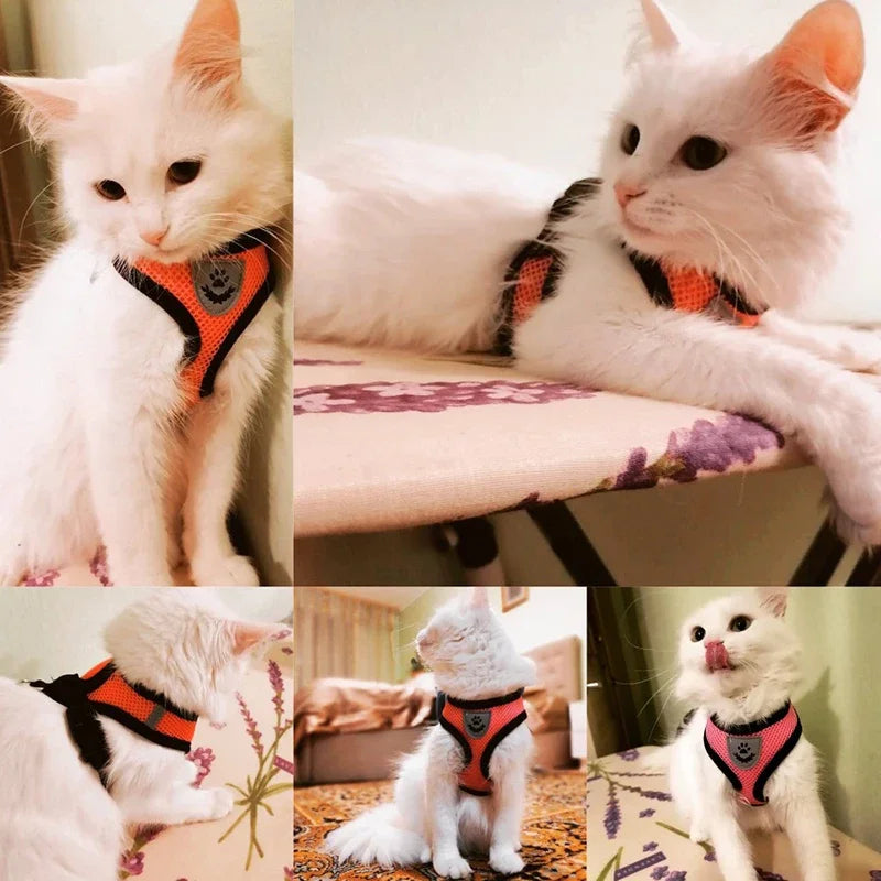 Summer Cat Dog Harness