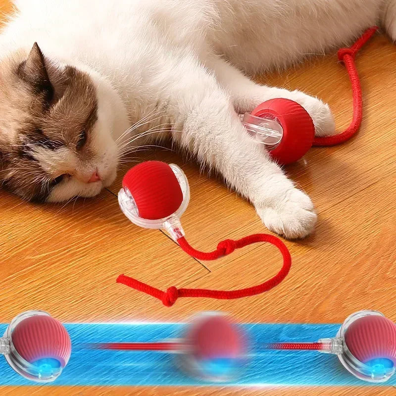 Automatic Rolling Ball Fake Tail Smart Cat Toys