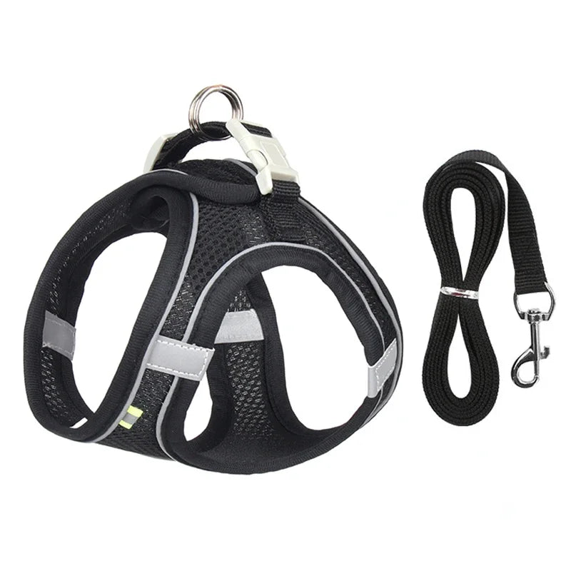 Summer Mesh Harness Vest and Leash Set